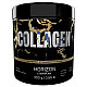 ActivLab Collagen Hydrolyzed 300g - лісові фрукти