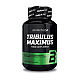 Biotech(USA) Tribulus Maximus 1500 mg 90 tabs