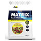 FitWin MATRIX 77% 0.9kg матча-малина