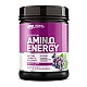 ON Essential Amino Energy 585 г - watermelon