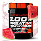 Scitec Creatine Monohydrate 300g watermelon Scitec Creatine Monohydrate 300g watermelon