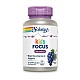 Solaray, Focus For Children, Grape Flavor, 60 Chewables