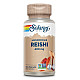 Solaray, Reishi Mushroom, 600 mg, 100 Capsules