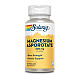 Solaray, Magnesium Asporotate, 400 mg, 60 VegCaps (200 mg per Capsule)