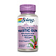 Solaray, Mastic Gum, 1000 mg, 45 VegCaps (500 mg per Capsule)